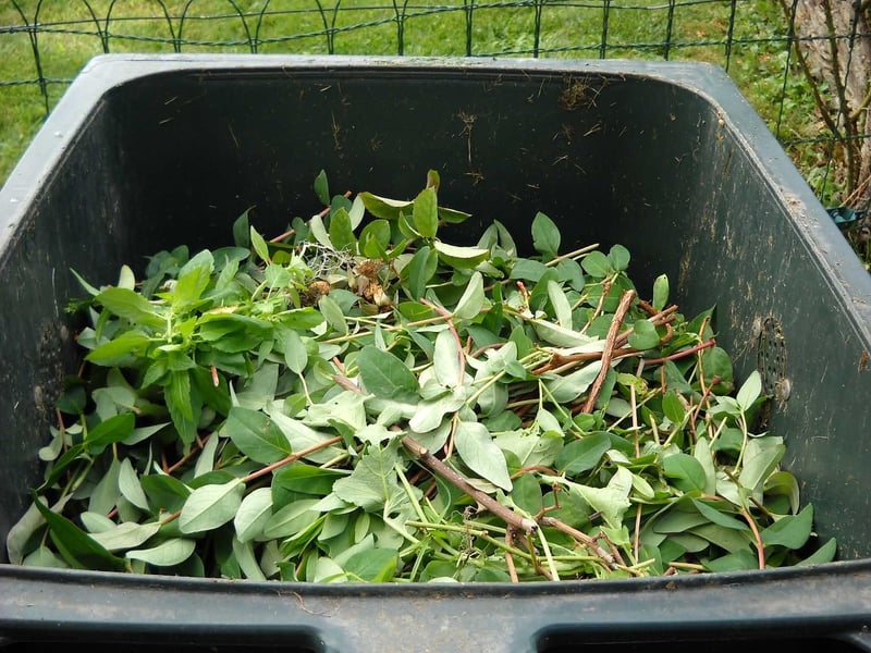 Composting Guides